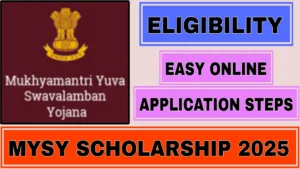 MYSY Scholarship 2025